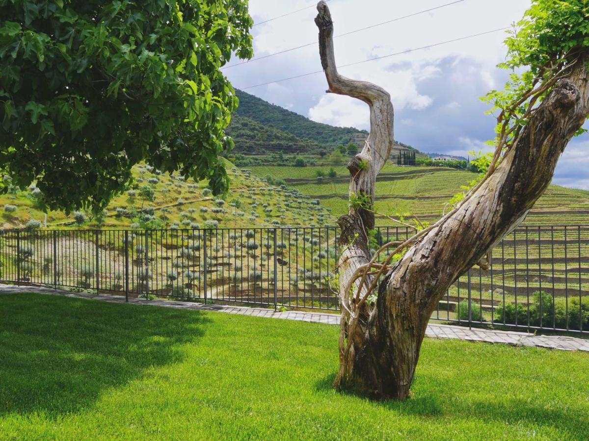 Quinta Do Tedo Bed & Breakfast Folgosa  Ngoại thất bức ảnh