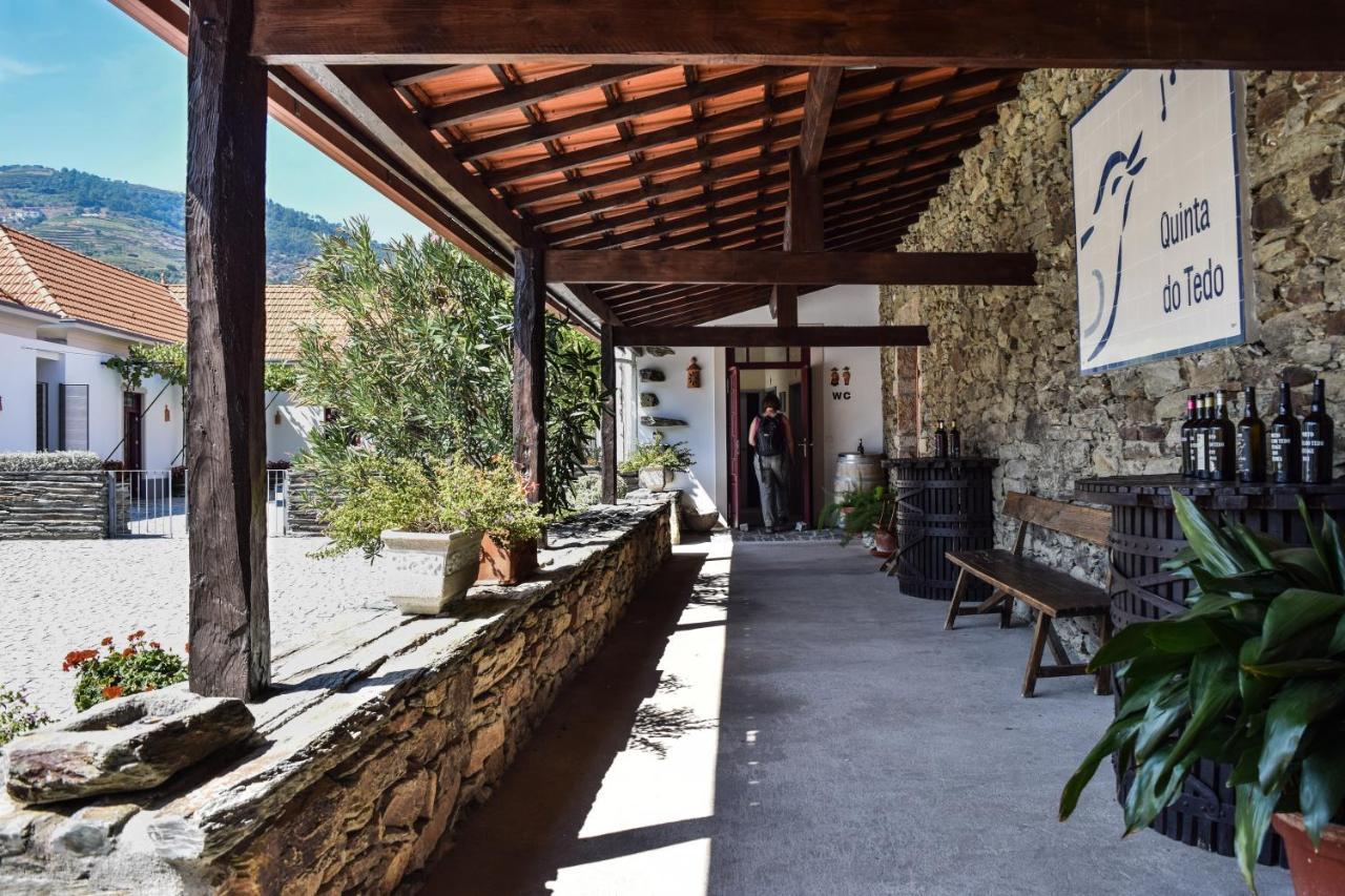 Quinta Do Tedo Bed & Breakfast Folgosa  Ngoại thất bức ảnh
