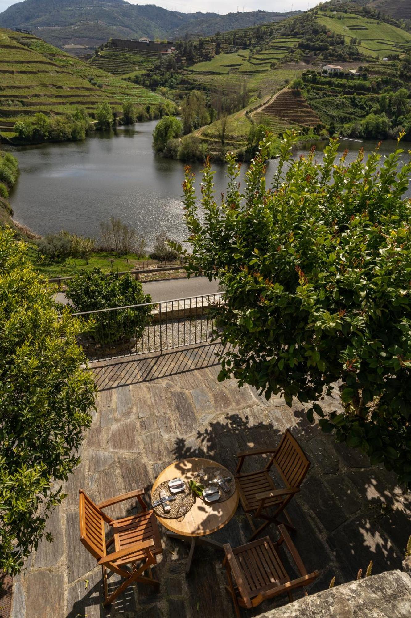 Quinta Do Tedo Bed & Breakfast Folgosa  Ngoại thất bức ảnh