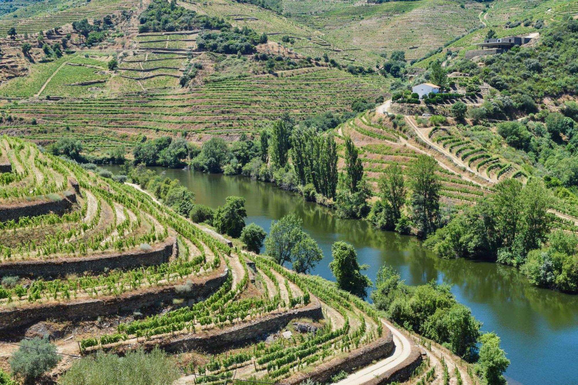 Quinta Do Tedo Bed & Breakfast Folgosa  Ngoại thất bức ảnh