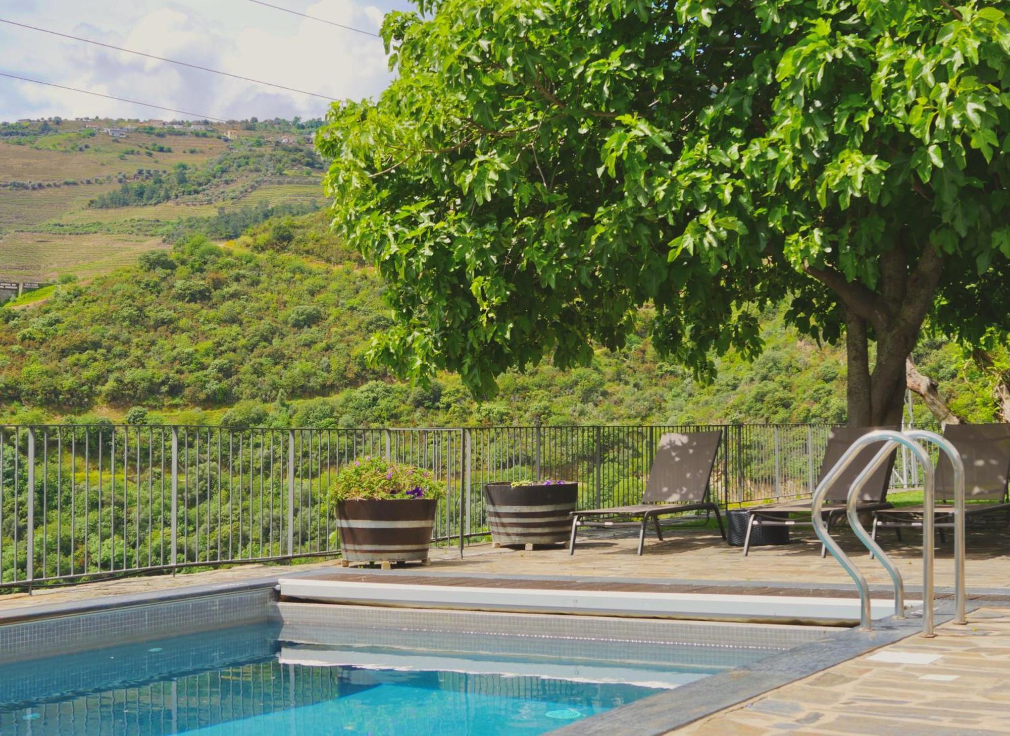 Quinta Do Tedo Bed & Breakfast Folgosa  Ngoại thất bức ảnh