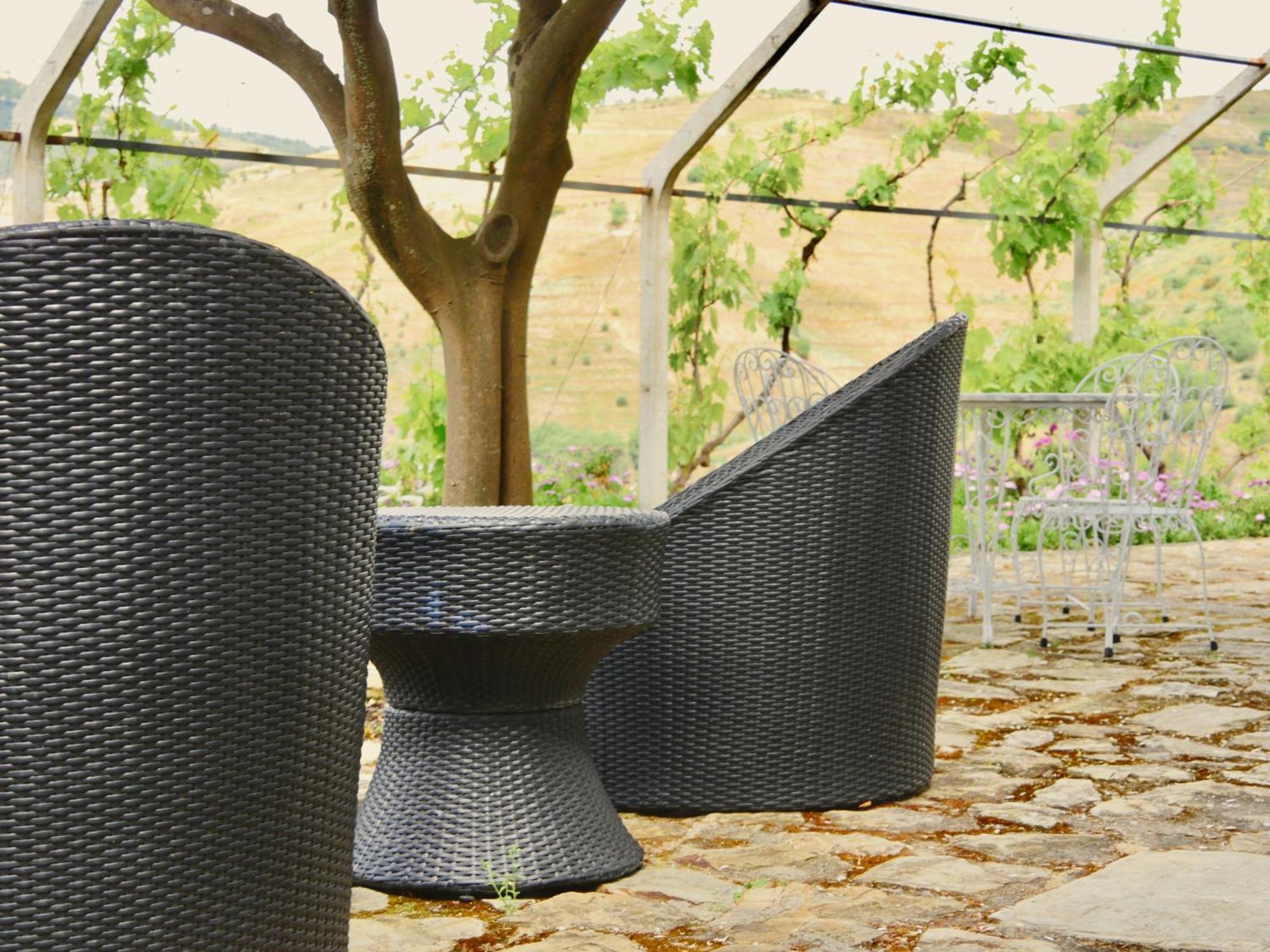 Quinta Do Tedo Bed & Breakfast Folgosa  Ngoại thất bức ảnh