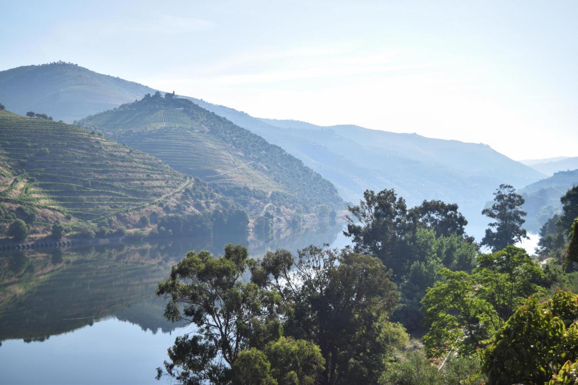 Quinta Do Tedo Bed & Breakfast Folgosa  Ngoại thất bức ảnh