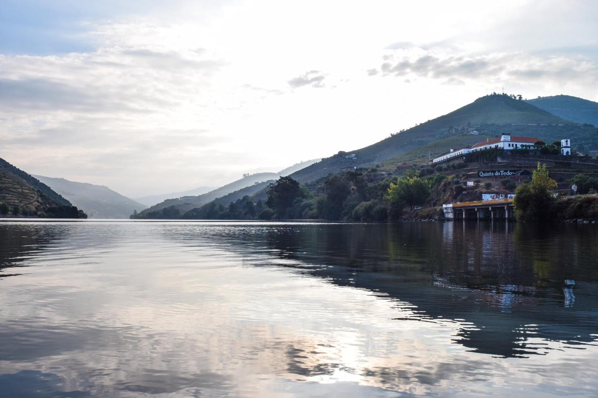Quinta Do Tedo Bed & Breakfast Folgosa  Ngoại thất bức ảnh