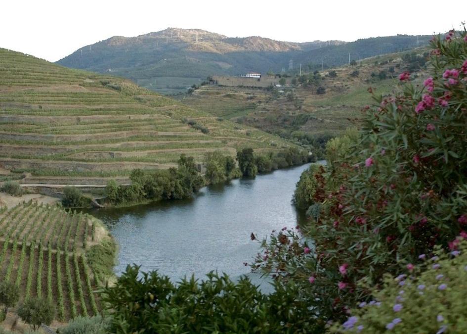 Quinta Do Tedo Bed & Breakfast Folgosa  Ngoại thất bức ảnh